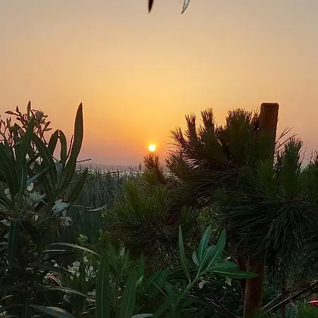 Mar Estang En Roussillon אתר קמפינג